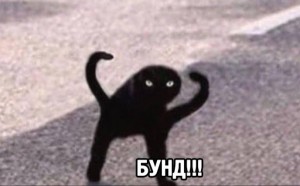 Create meme: black cat joy, the cat is black, black cats