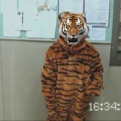 Создать мем: tiger, тигра попрыгун, костюм тигра