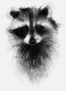 Create meme: portrait of a raccoon on white background, black raccoon avatar, racoon illustration