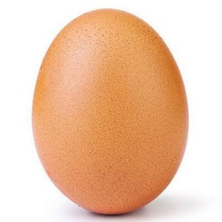 Создать мем: гигантские яйца, яйцо на белом фоне, фотография яйца