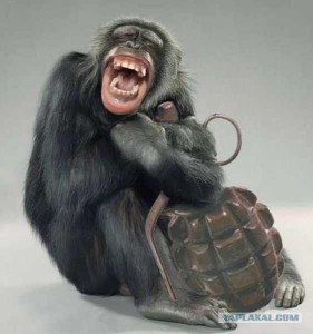 Create meme: monkey, chimpanzees, a monkey with a grenade