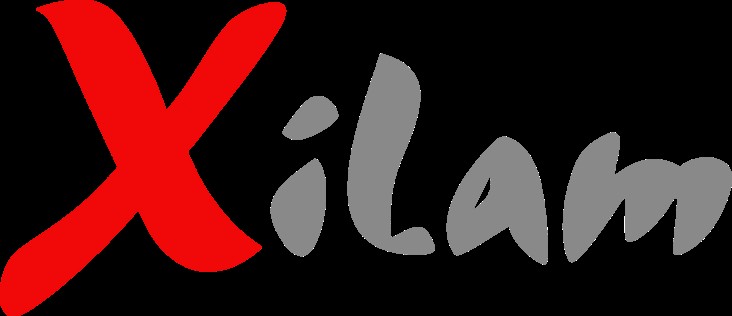 Create meme: xilam logo 1999, xilam, logo 