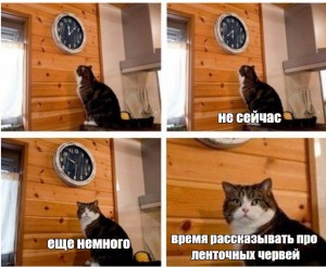 Create meme: the cat looks at his watch meme, and watch cat meme, meme the cat and the clock time