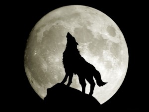 Создать мем: волк воет на луну, teemur одинокий волк, силуэт волка мифический