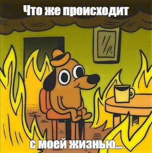 Создать мем: собачка в огне комикс, в огне мем, мем пес в горящем доме