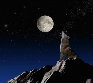 Create meme: the howling wolf, the dog howls at the moon, wolf howling at the moon