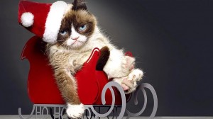Создать мем: grumpy cat, merry christmas grumpy cat, худшее рождество сердитой кошки
