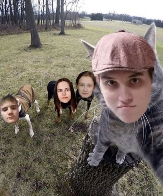 Create meme: selfie cat, cat selfie with the dogs, selfie cat on the background of dogs