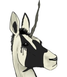 Create meme: goat picture, goat, silhouette of the head of a donkey