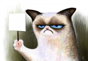 Create meme: grumpy , gloomy cat, unhappy cat 