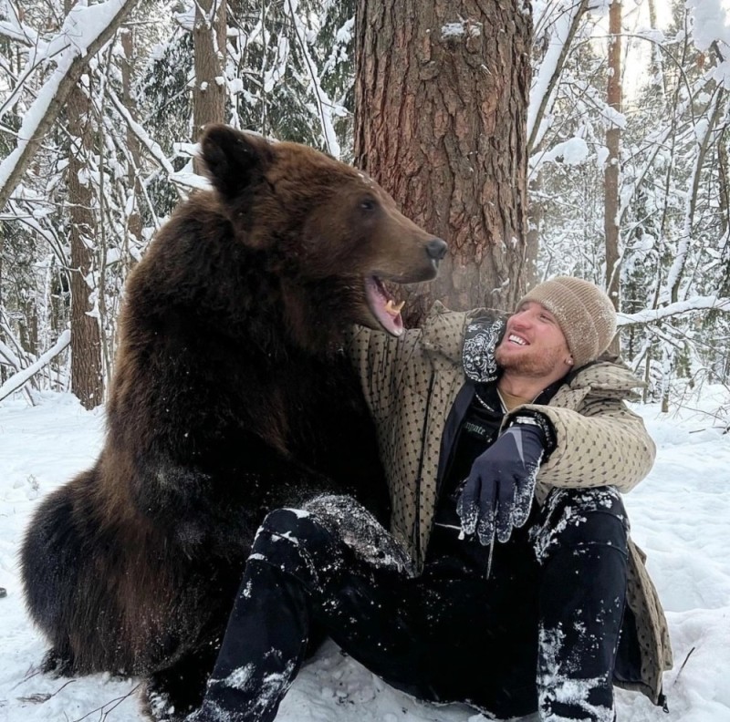 Создать мем: медведь домашний, медведь степан, огромный медведь