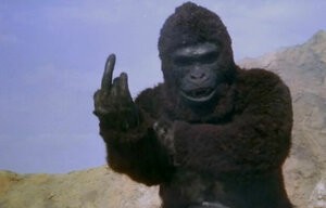 Create meme: gorilla, Kong king
