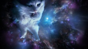 Создать мем: space cats, коты в космосе, кошка в космосе
