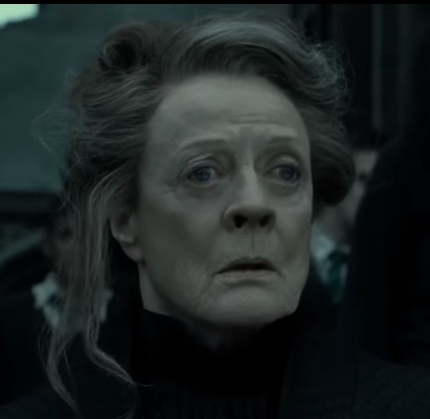 Create meme: Harry Potter , Maggie Smith Harry Potter and the Half-blood Prince, Harry Potter and the deathly Hallows 