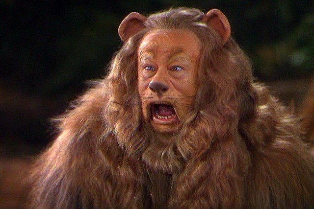 Create meme: cowardly lion, The Wizard of Oz 1939 film The Lion, a frame from the movie