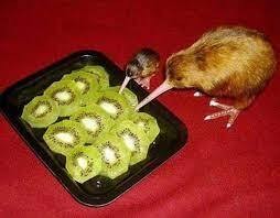 Create meme: kiwi bird eats kiwi fruit, kiwi eating kiwi cannibalism, kiwi cannibal