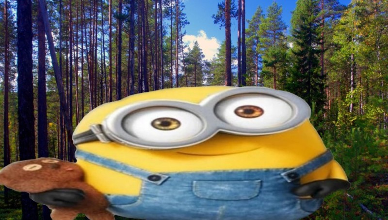 Create meme: ural taiga, minion Bob , minions 