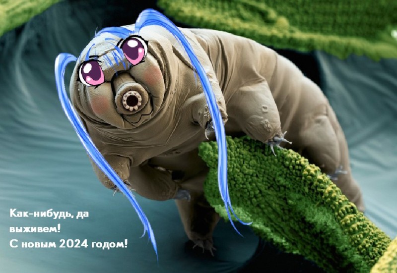 Создать мем: тихоходка игрушка, жук тихоходка, tardigrade