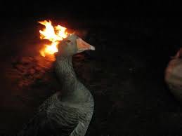 Create meme: loser, burning goose, darkness