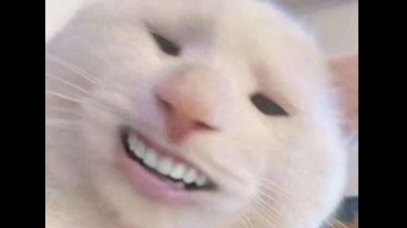 Create meme: the cat smiles with a human smile, smiling cat meme, a cat with human teeth