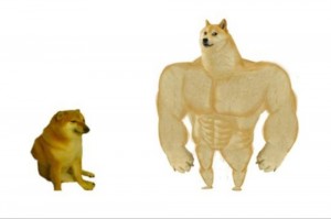 Create meme: doge meme Jock, inflated doge, Jock the dog and you learn