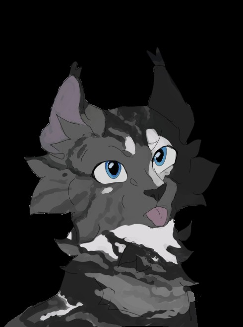 Create meme: warrior cats, the characters are cats warriors , beautiful warrior cats