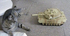 Создать мем: танк, кот, кот против танка