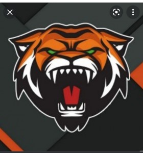 Create meme: tiger logo, logo for the clan