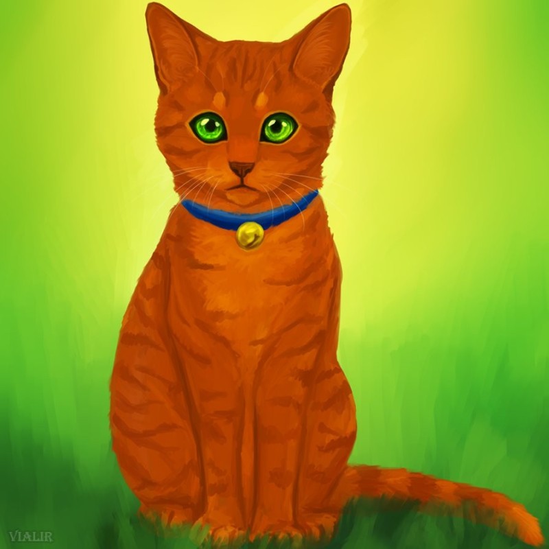 Create meme: ginger from the warrior cats, warrior cats, cats warriors of fire stars