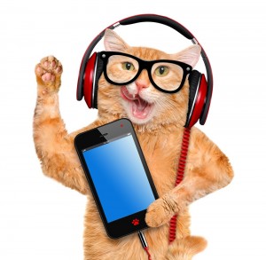 Create meme: cat with headphones, cat with headphones, cat with headphones