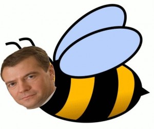 Create meme: bee