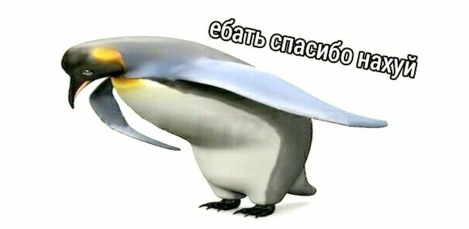 Создать мем: кланяющийся пингвин, пингвин поклон, пингвин спасибо мем