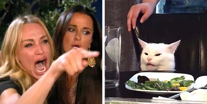 Создать мем: две девушки и кот мем, мем две женщины орут на кота, женщина орет на кота