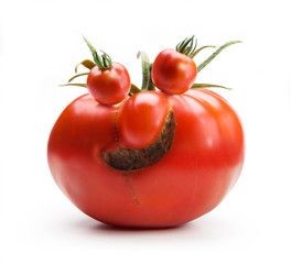 Создать мем: красный помидор на белом фоне, смешные фрукты, 7 помидор на белом фоне