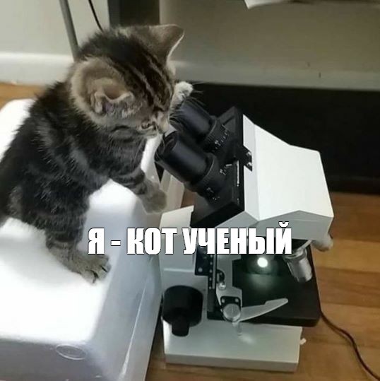 Create meme: cat with a microscope, olympus cx31 microscope, microscope camera