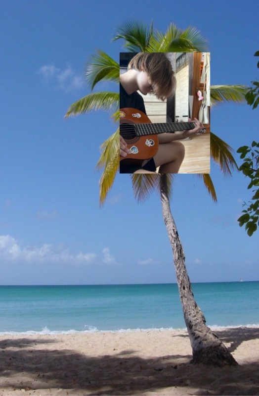 Create meme: ukulele, coconut palm, goa vacation