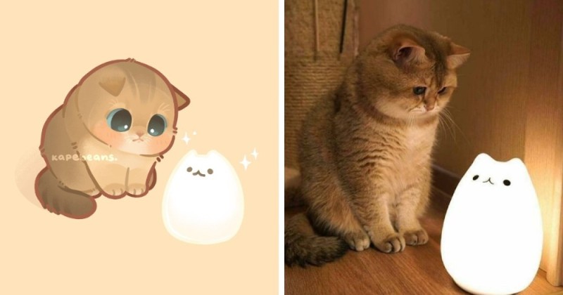 Create meme: cat pushin silicone night light, night light cat, night light cat changing color