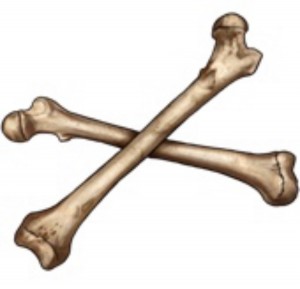 Создать мем: бедренная кость, бедренная кость 3d модель, кость на белом фоне
