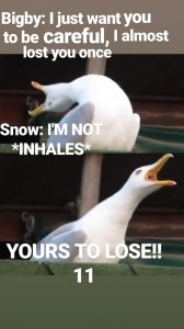 Создать мем: чайка смеется мем, seagull, мем гусь глубокий вдох