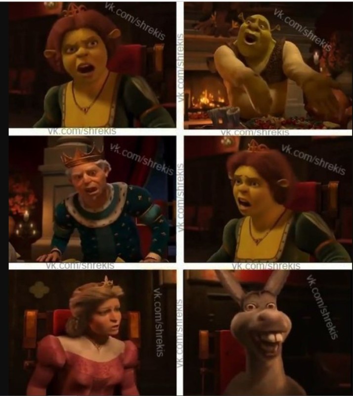 Create meme: Shrek Fiona , Shrek , Shrek donkey 