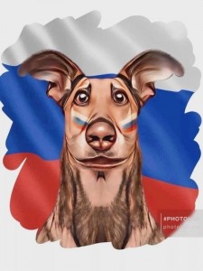 Создать мем: россия любовь, россия великая, собака