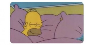 Create meme: Homer Simpson, sleep happy meme, the simpsons memes