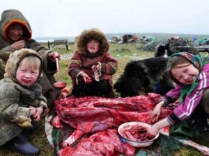 Create meme: çığ, the Yamal Peninsula, hat Nenets