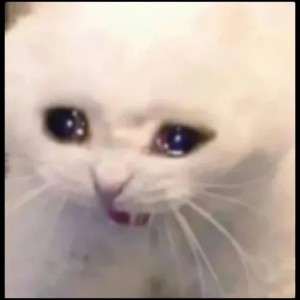 Создать мем: грустный плачущий кот, кот мем, грустный мем