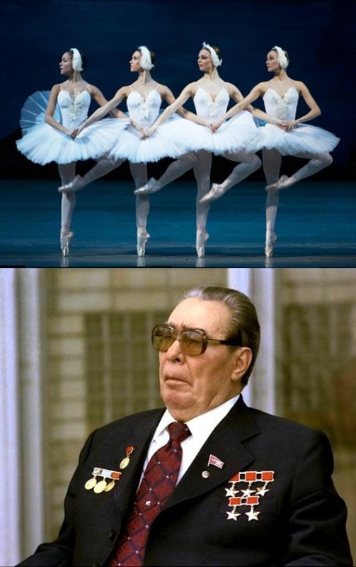 Create meme: Vera Brezhneva, swan lake, the era of Brezhnev