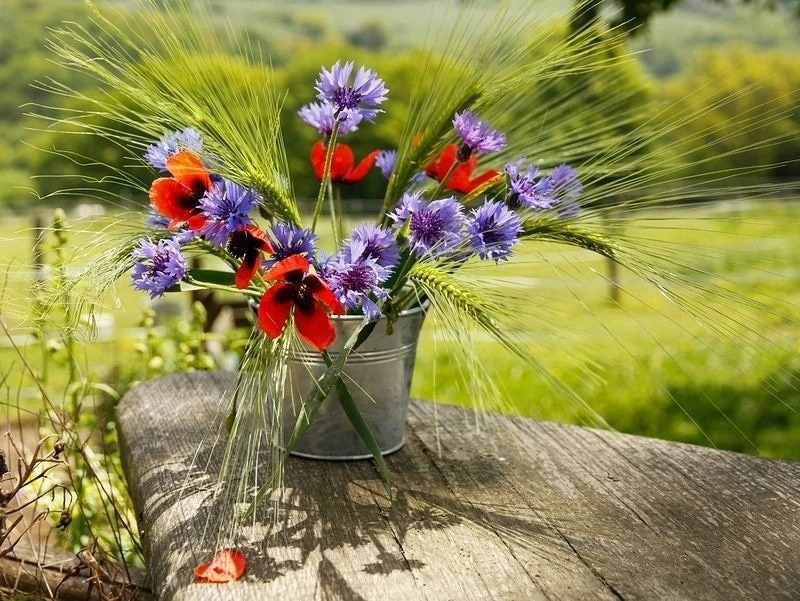 Create meme: a bouquet of wild flowers , field bouquet, morning bouquet of wild flowers