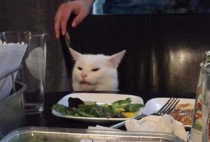 Создать мем: кошки, кот из мемов белый за столом, озадаченный кот за столом мем
