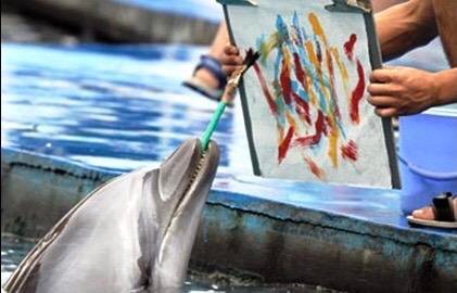 Create meme: dead dolphins, Dolphin , dolphin painting