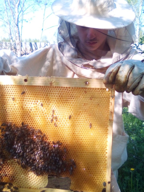 Create meme: apiary , beekeeping, beekeeper