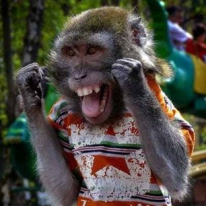 Создать мем: обезьяна радуется, мартышка смешная, прикольные обезьянки